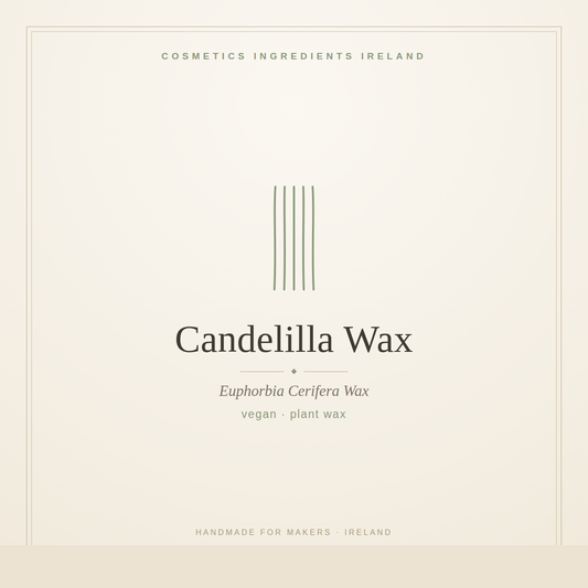 Candelilla Wax