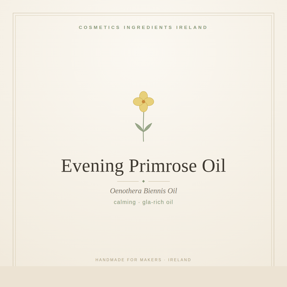 Evening Primrose Oil