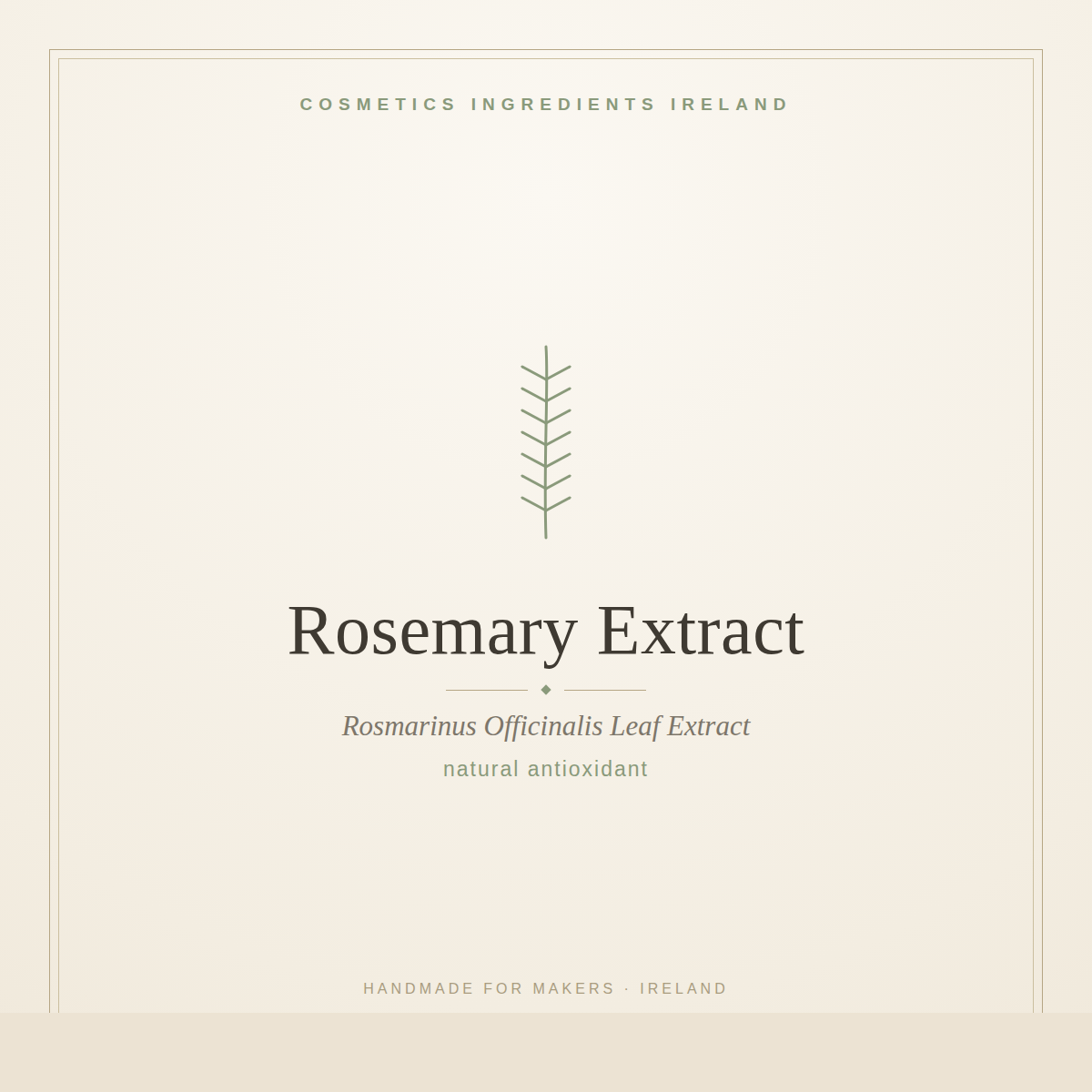 Rosemary Extract