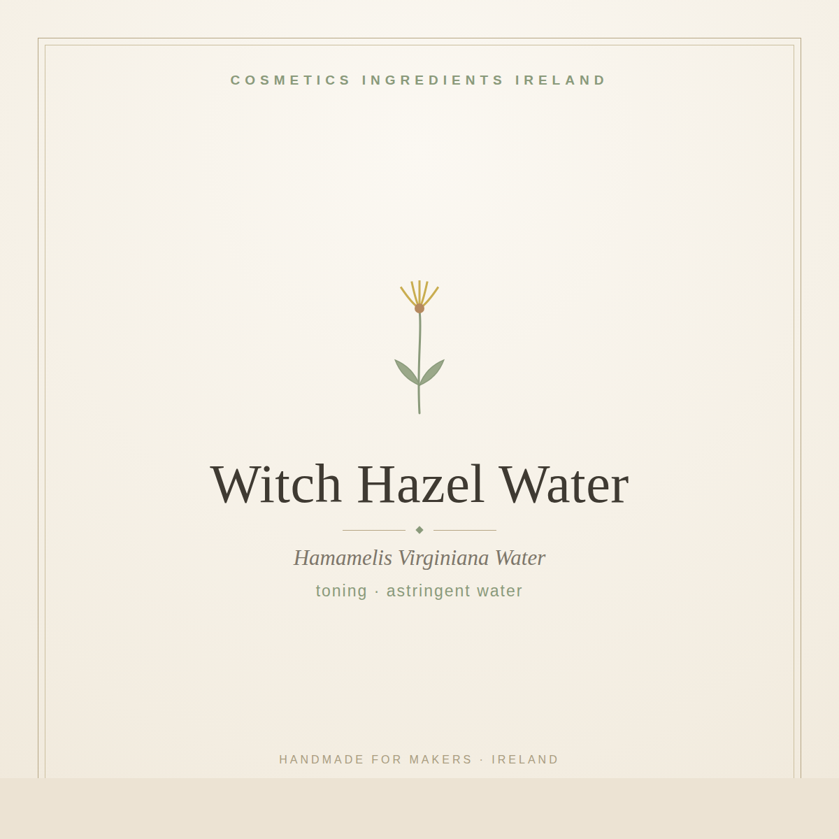 Witch Hazel Water